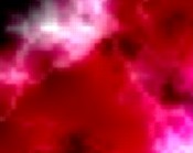 kamer koophandel zwolle nl