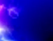 kamer van koophandel arnhem