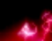 kamer van koophandel haarlem