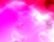 kamer van koophandel maastricht