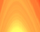 gouda